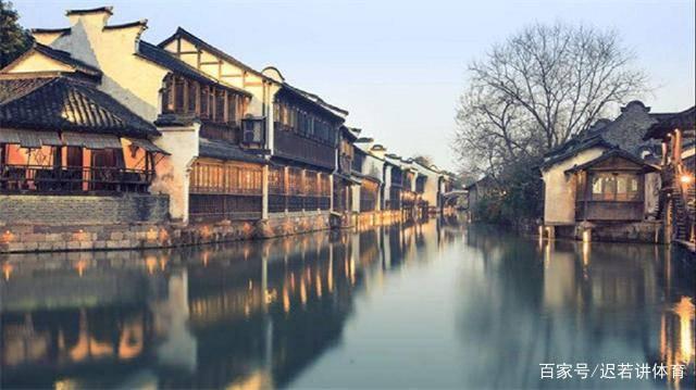 这是什么植物长得像三叶草游戏画面